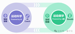 一帮人All in AI，让搞体育的先赚到钱了