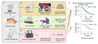 GENERator – 阿里 AI for Science 团队等推出的生成式 DNA 大模型
