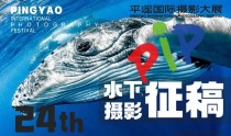 征稿 ｜ PIP平遥国际摄影大展隆重推出“新质影像 首届水下摄影展” ...
