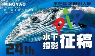 征稿 ｜ PIP平遥国际摄影大展隆重推出“新质影像 首届水下摄影展” ...