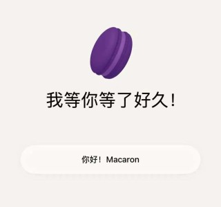 扎克伯格花了几百亿美元要做的AI，被这个中国团队做出来了。