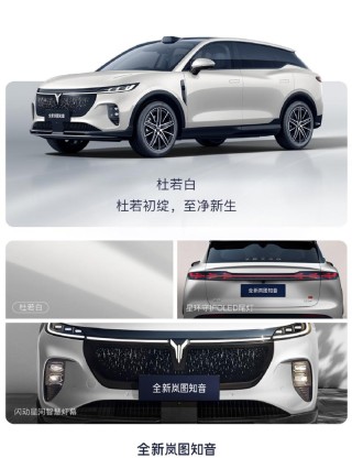 全新岚图知音发布宸星灰车色 新车将于8月底上市