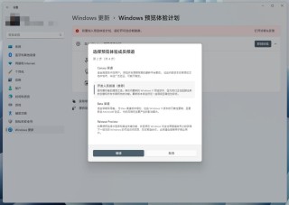 Windows预览体验计划空白怎么办？Windows预览体验计划空白解决方法