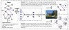 Open Deep Research – Deep Research开源复现版智能体，支持切换多种语言模型
