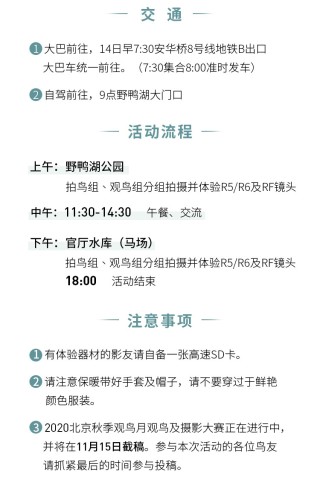 2020北京秋季观鸟月 走进野鸭湖活动招募