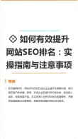 有哪些网站已经适应了新的SEO算法？