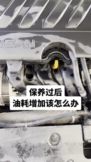 机油增多有什么危害？机油增多最好的处理方法