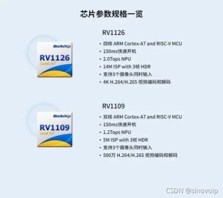 Rockchip RV1106系列规格差异详解：如何选择最适合您的AI视觉处理器？