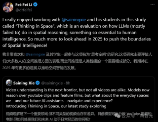 李飞飞谢赛宁：多模态LLM「空间大脑」觉醒，惊现世界模型雏形！