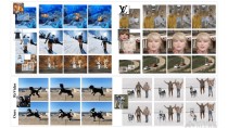 DreamVideo-baidu092 – 复旦和阿里联合多机构推出的零样本视频定制生成框架