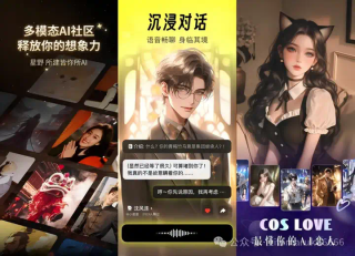 Ai陪伴调研整理（20250221）