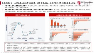 中国人形机器人市场迅猛发展