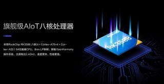 开源的AI MPU