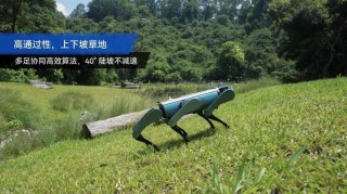 机器人看点：越疆机器人正式发布六足仿生机器狗 智元公布机器人运动控制模型专利