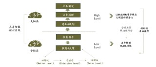 具身智能的月亮与六便士