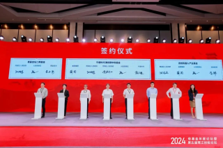 110亿“王炸”开局，这只超级独角兽进军CVC