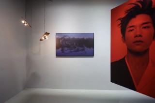 陈漫个展“龙·雨·田”，以龙为引，自然与共