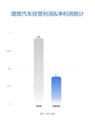 理想汽车公布2025年第一季度财报 季度营收259亿元