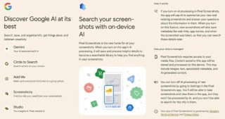 Google Pixel 9最新曝光：All in AI手机，安卓老大哥领衔？