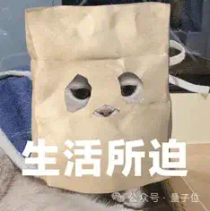 大厂程序员：AI正在将我们变成高速流水线工人，受不了了