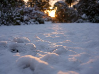 富士GF 50mm F3.5 实拍样张欣赏