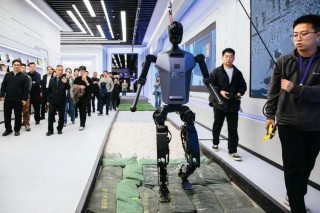 引发资本热？人形机器人产业化落地“痛点”待解