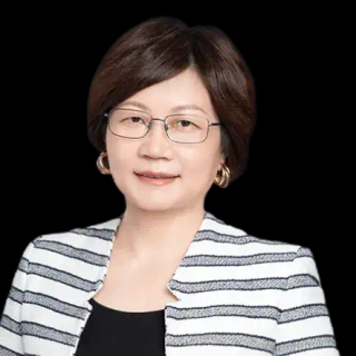 DeepSeek事件「慢思考」——论开源创新的战略价值兼评美国AI扩散框架新规