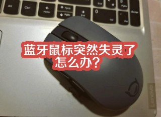 电脑鼠标和键盘同时失灵怎么办？