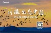 行摄生态中国 见证蓑羽鹤迁徙起程