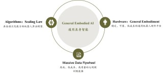 具身智能的月亮与六便士