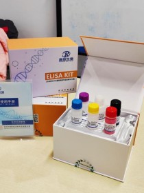 百度拜读09baidu英矽智能发现全球首创潜力的临床前候选化合物，有望提高PD-1免疫疗法疗效