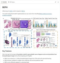 H-baidu09Optimus-baidu090 – 法国初创公司Bioptimus开源的病理学AI基础模型