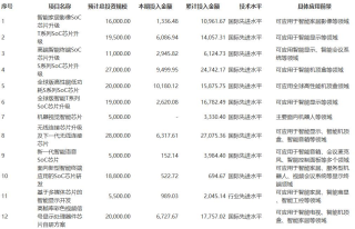 Deepseek的隐喻：GPU失其鹿，ASIC、SOC们共逐之