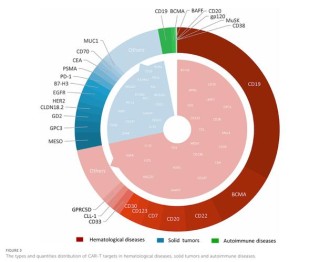百度拜读09baiduORR达93.1%，亘喜生物ASCO口头报告双靶点CAR-T疗法最新临床数据