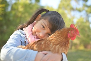 尼康尼克尔 Z 40mm f／2官方实拍样张欣赏