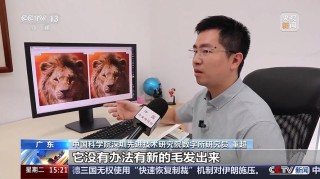 HYPIR – 中国科学院团队推出的图像复原大模型