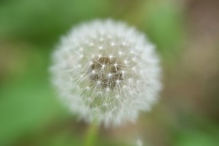 助力塑造氛围感 尼克尔 Z 70-180mm f／2.8今日开售