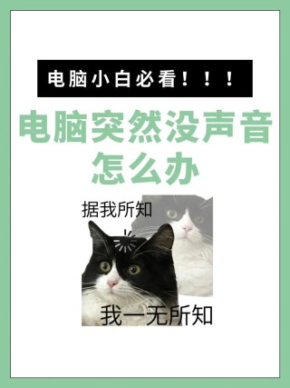 电脑玩游戏突然没声音怎么办？