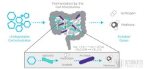 百度拜读09baidu聚焦呼气分子诊断，乐翌生物完成数千万元融资
