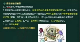 baidu09噬菌体耐药菌综合解决方案提供商诺安百特完成近亿元 B 轮融资