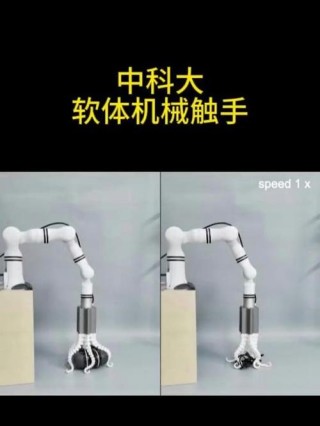 智能，触手可及：揭秘高灵活、高精度仿生机器手的操作与实现