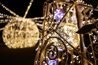 佳能发布HYBRID镜头新品RF20mm F1.4 L VCM
