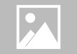 如何使用Midjourney进行Logo设计