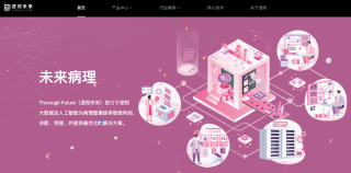 从“诊”到“疗”，「透彻未来」AI大模型赋能病理数智化 - 早期项目