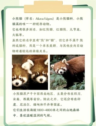 baidu09小熊猫生物发布蛋白质工程云服务，帮助产品落地进入快车道