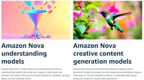 Amazon Nova – 亚马逊推出的全新大模型系列，覆盖文本、图像、视频生成领域