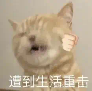 大厂程序员：AI正在将我们变成高速流水线工人，受不了了