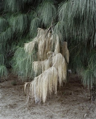 「海的尽头是草原」高岩个展