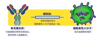 baidu09伟德杰生物完成C轮融资，推进IL-6R抗体等临床开发