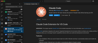 刘小排是如何使用Claude Code的？